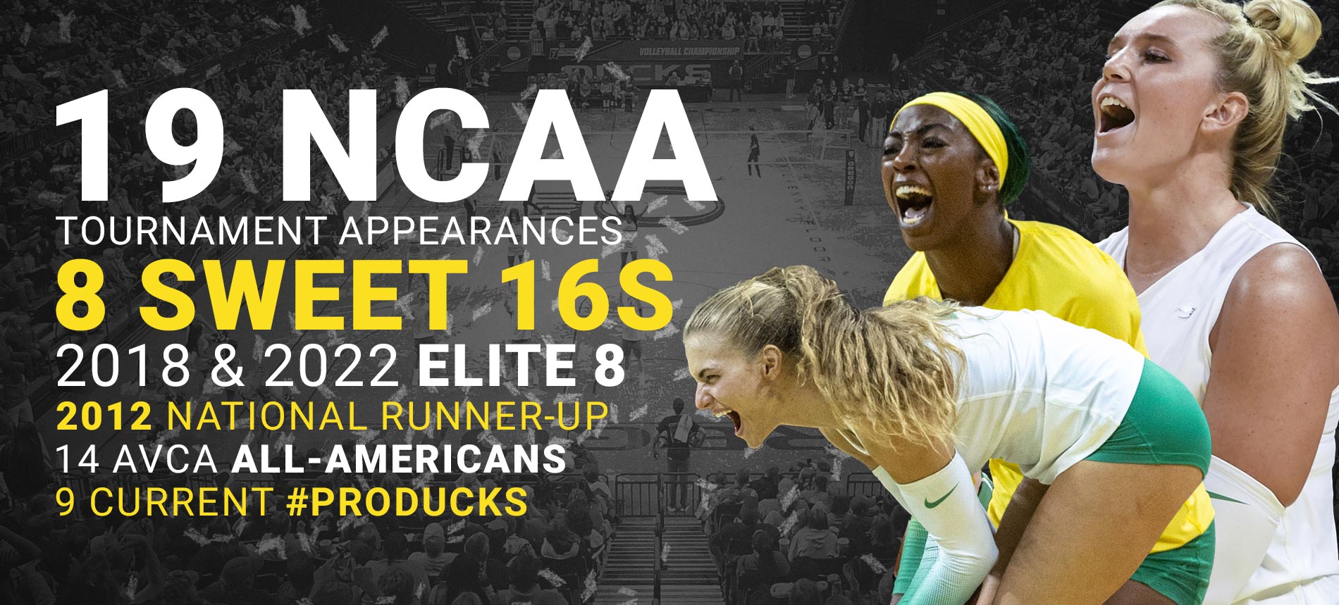 Oregon Volleyball Camps University of Oregon